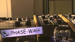 Video thumbnail for Moog Moogerfooger MF-103 12 Stage Phaser by Gaetano di Palma