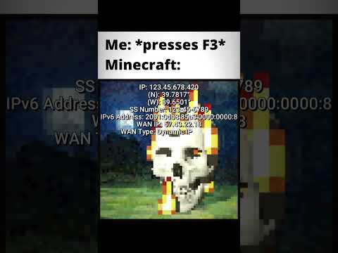 Minecraft F3 be like: