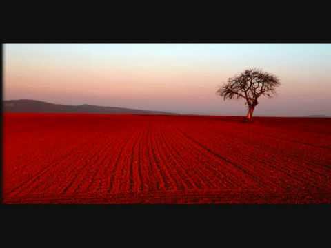 To Δέντρο - Αctive Member