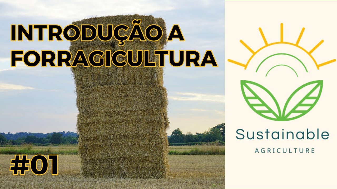 Forragem: O Segredo por Trás da Produção Animal Sustentável | Tudo Sobre Plantas Forrageiras