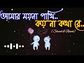 Amar Moyna Pakhi Koyna Kotha re || Tiktok Viral Sad Song || Tiktok Sound || Viral tiktok ||