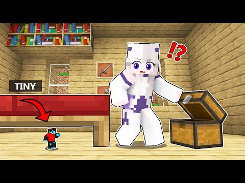 Using TINY MOD To Cheat in Minecraft Hide And Seek!