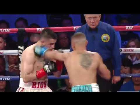 Brawl | Brandon Rios | Mike Alvarado 1