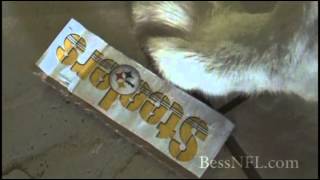 Gandi's NFL Picks wk6