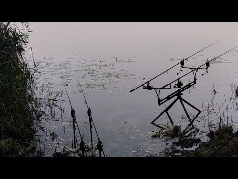 Dzień 1- III Mistrzostwa Polski PZW w wędkarstwie karpiowym 2023 - Dębowa