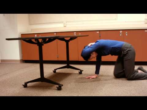 If You're Near a Sturdy Desk or Table (Earthquake Safety Video Series)