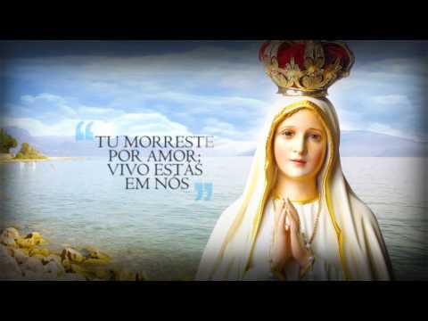 TU ÉS MINHA VIDA (Oficial/Letra)