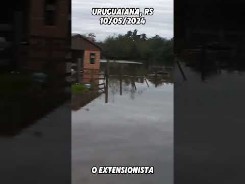 Uruguaiana no Rio Grande do Sul #enchente #cheiars #sosrs #ajudeors #chuvasnosul #uruguaiana