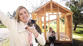 Building a Tiny House for my Cat