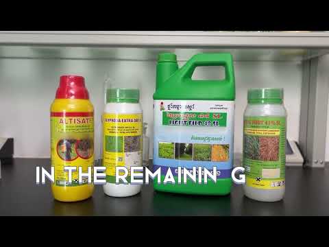 King Quenson Classroom episode preview