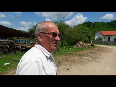 spargere primaria cocu 4