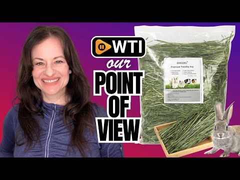 Timothy Hay 1.1LB - Dust Free Natural Green Fresh Food Hay for Rabbits Tortoise Guinea Pig Chinchilla 1.1 Pound (Pack of 1) - WTI product video review