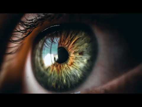 Kungs, The Knocks  - People 「 1 Hour  ♬」