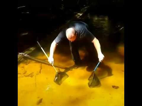 Так, и кто это у нас тут прячется?