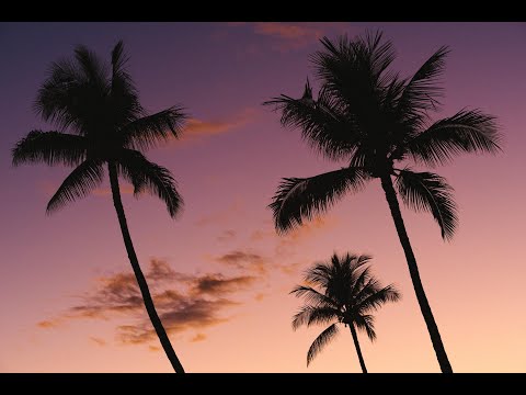 VEDO - You Got It - Slowed
