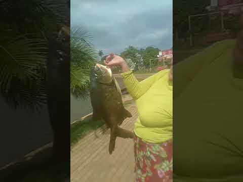 lago municipal de Bela vista de Goiás.