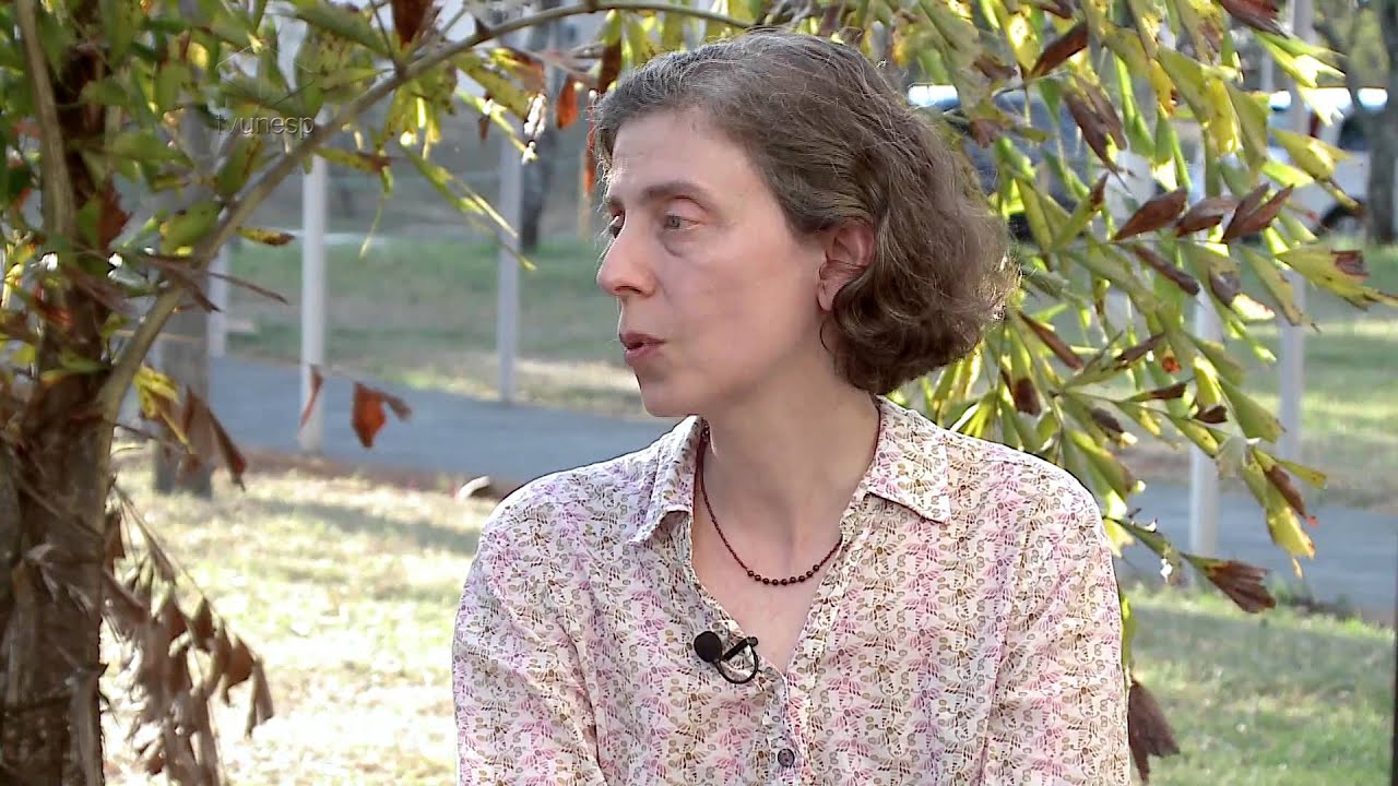 Unesp em Pauta | A restauração de bens culturais arquitetônicos