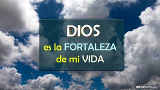 REFLEXIONES