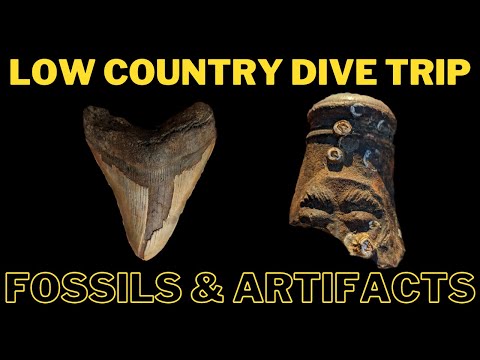 Low Country Dive Trip Fossils & Artifacts Found!