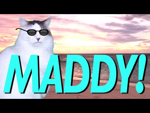 HAPPY BIRTHDAY MADDY! - EPIC CAT Happy Birthday Song