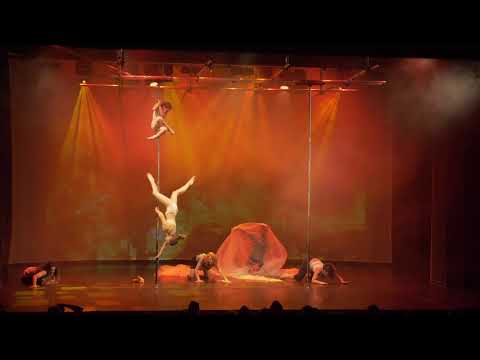 Pole Theatre Hungary 2019 - Rerra Aggeliki (Pro Drama winner & overall winner)