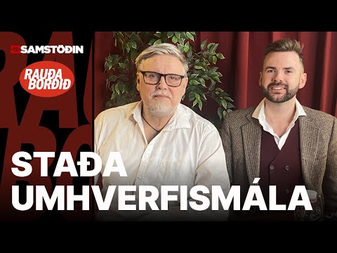 Eiga umhverfismál sér engan málsvara?