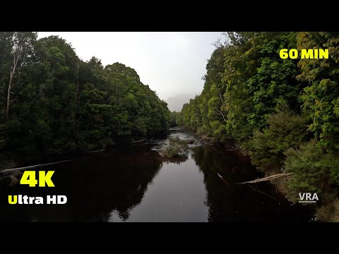 Virtual Hike 4k Tasmania Wilderness   60min Virtual Scenery for Treadmill