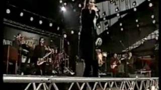 Willy DeVille - Hello My Lover