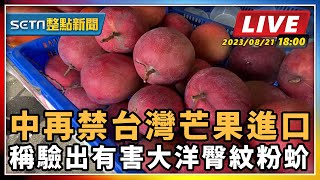中再禁台灣芒果進口稱驗出有害大洋臀紋粉蚧