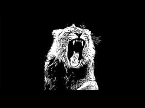 Martin garrix animals Vs Will sparks ah yeah (remix)