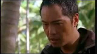 stinging nettle • miles&claire