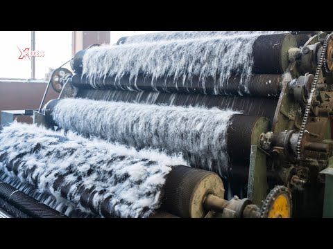 How is COTTON Made? How Does Cotton Become Clothes? Little-Known Facts About Cotton!