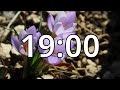 19 Minutes Timer with Music | Spring Timer