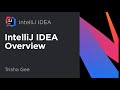 Overview of IntelliJ IDEA demo