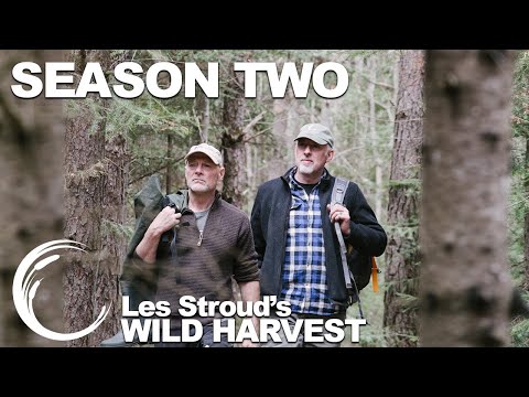 Wild Harvest Season 2 Promo