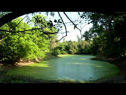 Kom khoeng tver avey-កុំខឹងធ្វើអ្វី