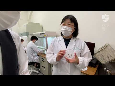 教育学科 【立教・理・生命】榊原恵子研究室