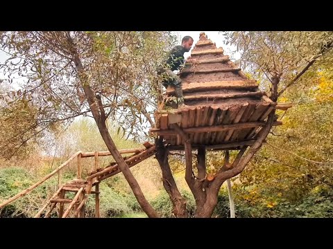 Insane Tree House Build in Abandoned Forest! Must See!