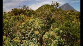 preview picture of video 'Açores - um Retrato Natural'