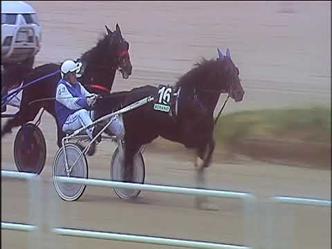 Trotto 20/12/2019 - 1ª corsa