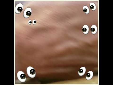 LiveLonger HaPPyFest Googly eye Manufacturering Plant