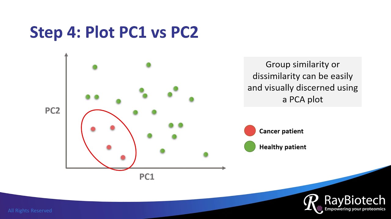 Principal Component Analysis Explained