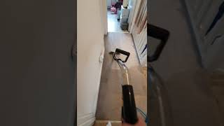 Carpet Transformation 