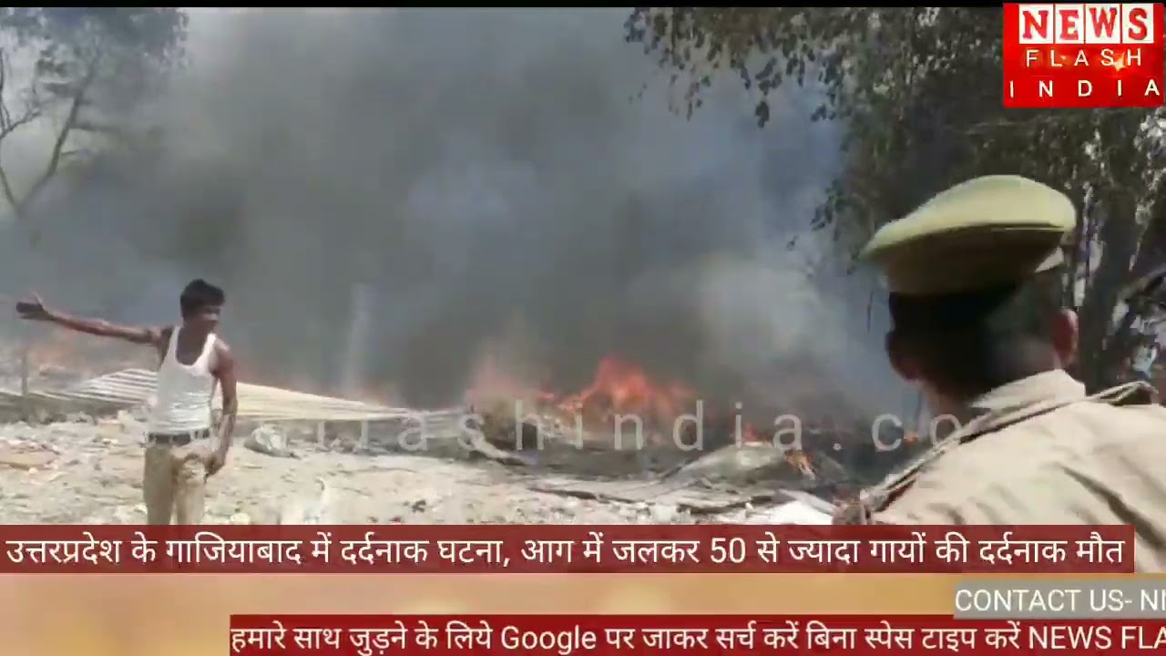 VIDEO : गाजियाबाद में दिल दहलाने वाला हादसा, दर्जनों गायों की मौत। जिम्मेदार कौन ?