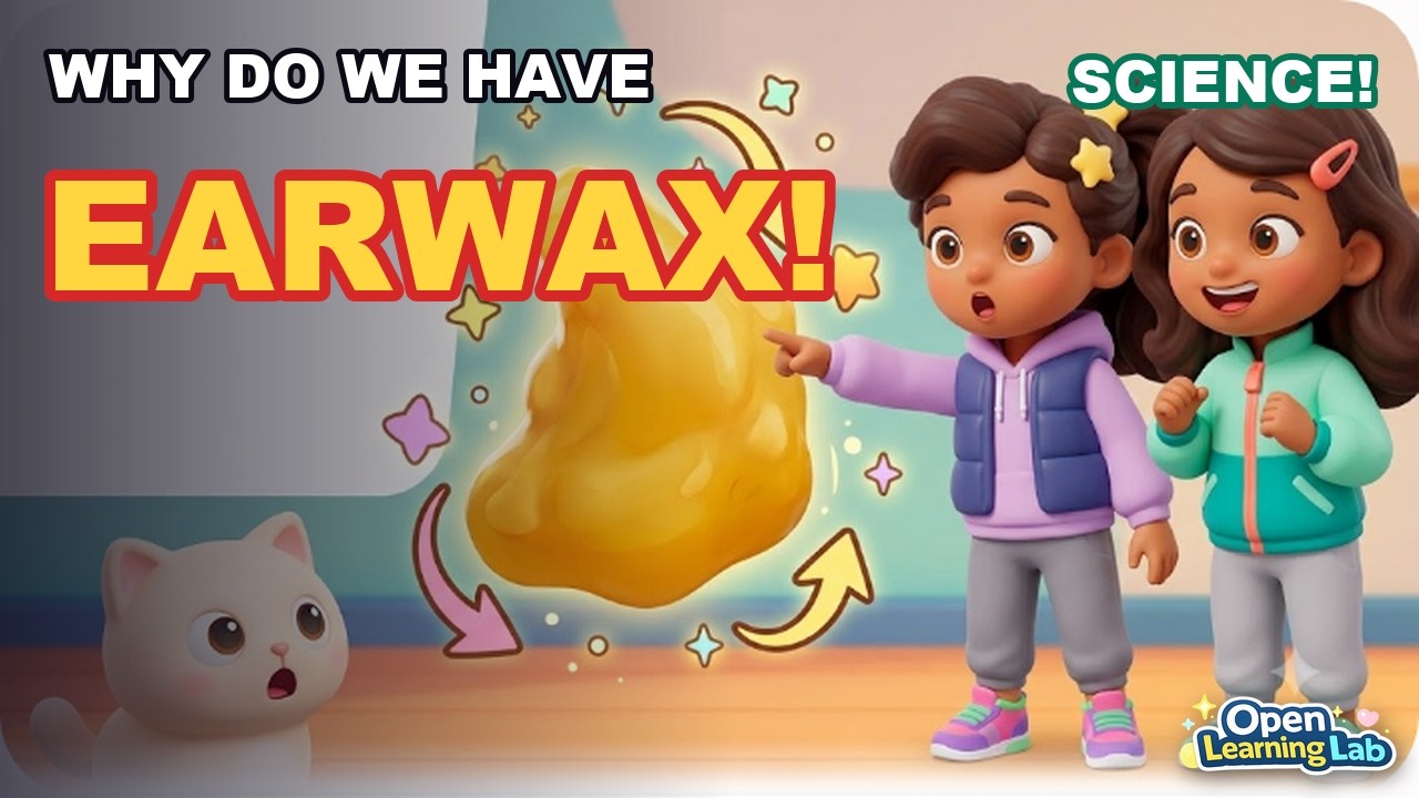 Why Do We Have Earwax? | Science for Kids