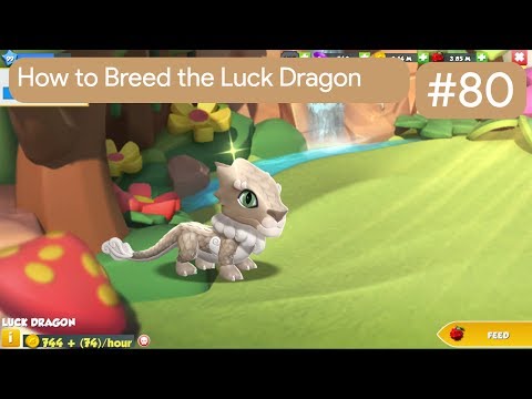 How to Breed the Luck Dragon | DML Breeding Guide #80