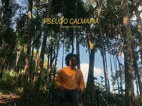 Pseudo Calmaria - Andrei Freitas