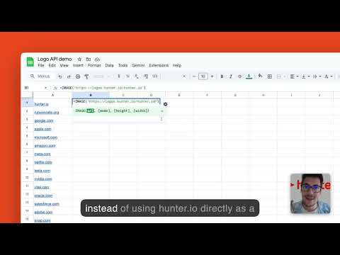 Company logo API by Hunter video preview