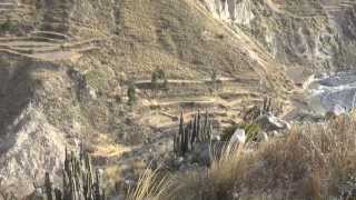 preview picture of video 'Tour Perù - Parte 10 - Canyon di Colca e Cruz del Condor - Peru'