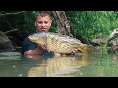 rákos kupak ellenőrzőlista best anti parasitic foods